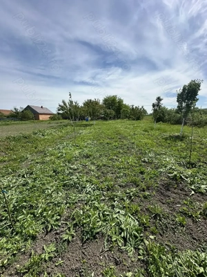 Vand loc de casa - imagine 3