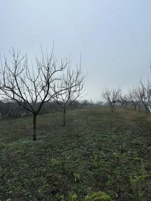 Vand loc de casa - imagine 4