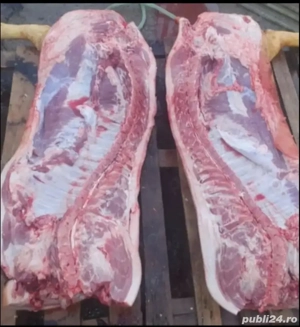 Carcasă porc 22 lei kg 