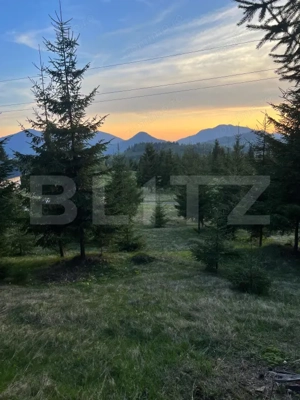 Teren extravilan cu priveliste - Tihuta Cota 1.201