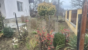 Casa cu 2 camere, 65 mp, teren 2910 mp, in Viile Satu Mare - imagine 4