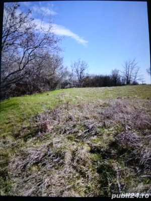 Vând teren intravilan com Mosoaia - imagine 3