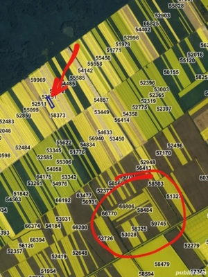 Teren intravilan 2000 mp Buftea langa padure puz cartier case vecin - imagine 4