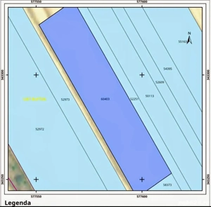 Teren intravilan 2000 mp Buftea langa padure puz cartier case vecin - imagine 2
