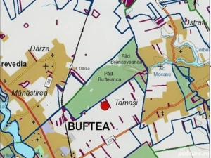Teren intravilan 2000 mp Buftea langa padure puz cartier case vecin - imagine 3