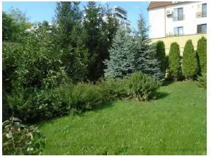 Teren intravilan 645 m.p.Parc Tabacariei, Strada Lacului, 500.000 Euro  - imagine 3