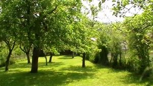 PROPRIETATE: 1500 mp, cu casa saseasca autentica, in Cristian, Brasov - imagine 10