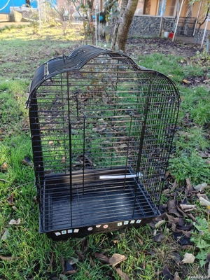 Colivii disponibile - imagine 2