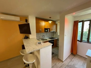 Iancului , Pantelimon  - imagine 8