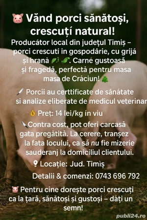 porci din gospodarie