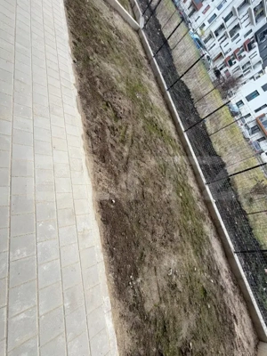 Apartament cu 2 camere, 48 mp, parcare, gradina, pretabil birouri  - imagine 6