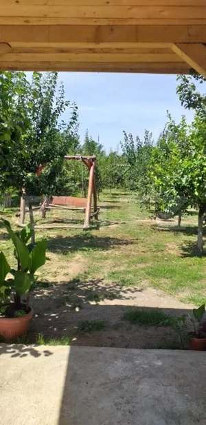 De vânzare  casă 99 mp, teren 7,5 ari în Lazuri, Satu Mare - imagine 12