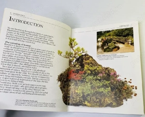 Bonsai, carte, ghid practic in engleza despre cresterea si gradinaritul copaceilor - imagine 3
