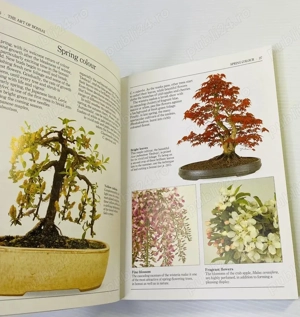 Bonsai, carte, ghid practic in engleza despre cresterea si gradinaritul copaceilor - imagine 4