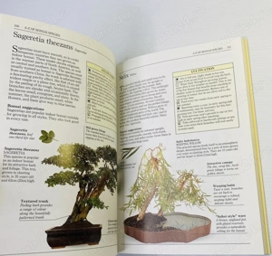Bonsai, carte, ghid practic in engleza despre cresterea si gradinaritul copaceilor - imagine 5