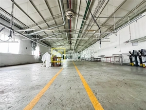 Hala productie depozitare + birouri – 2.000 mp – Bacau, Str. Stefan cel Mare – disponibila din febru - imagine 4