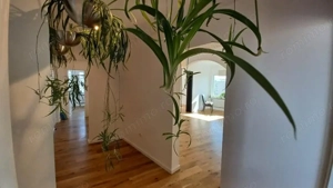 Penthouse ultracentral 4 camere, balcon panoramic, vedere Casa Poporului