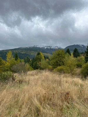 Teren intravilan in Borsa Maramures - imagine 3