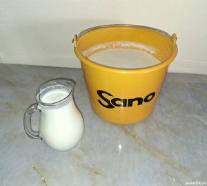 Lapte de vacă,proaspăt în fiecare zi  - imagine 2