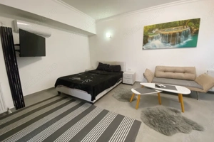 Studio | Vedere frontala spre lac | Solid House Butoaie | Termen lung - imagine 3