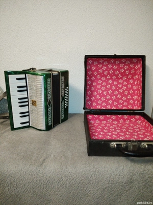 Acordeon Razno copiii