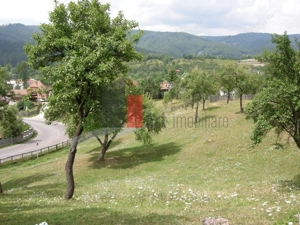 Teren intravilan 3214 mp  în Rucăr cu deschidere 56 m în DN73 - imagine 4