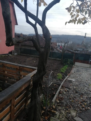 Casa de vânzare 6 camere - imagine 9