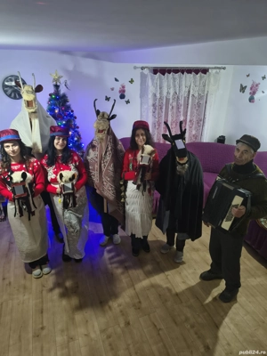 Articole pentru ANUL NOU