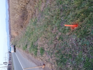 Vând Teren Băcia -Batiz - imagine 3