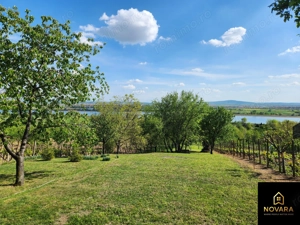 Teren Podgoria de vânzare - imagine 2