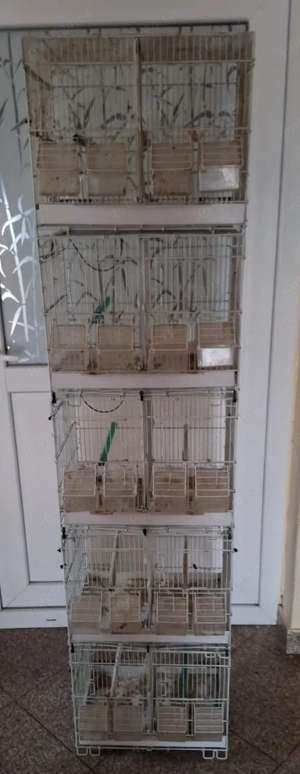 Vand colivii pasari - imagine 3