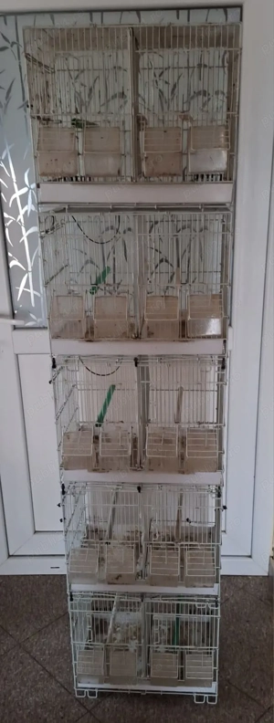 Vand colivii pasari - imagine 2