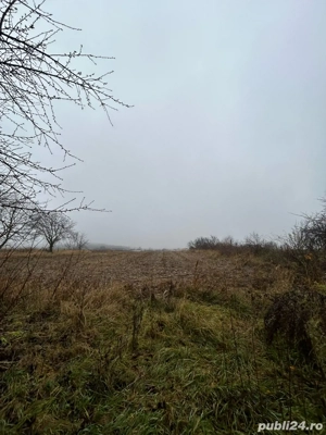 Casa batraneasca+teren de vanzare - imagine 6