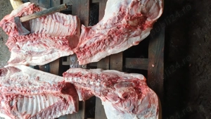 Porci de vanzare diferite greutati