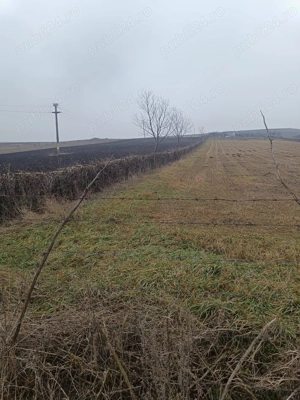 Teren intravilan -localitatea Trusesti jud.Botosani - imagine 2