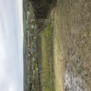 Teren intravilan -localitatea Trusesti jud.Botosani - imagine 3