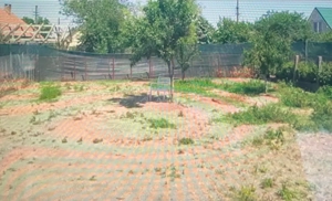 5 cam - Vladimirescu - imagine 5