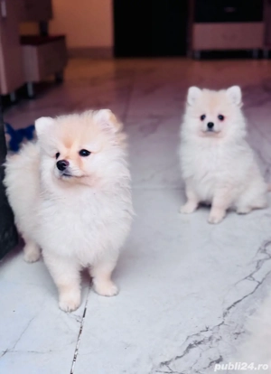 Cadoul perfect de sărbători