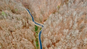 Casa si teren generos de vânzare-Olanesti(sat Tisa) - imagine 9