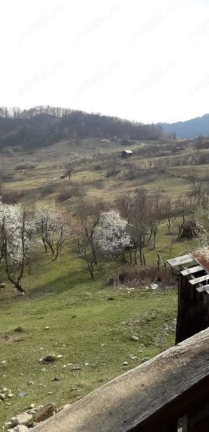 Casa si teren generos de vânzare-Olanesti(sat Tisa) - imagine 5