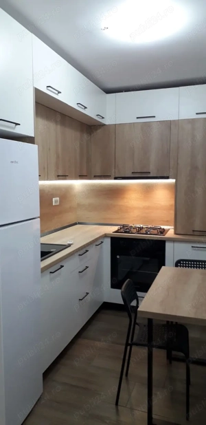 Inchiriem apt 1 camera et 1, Sagului  - imagine 4