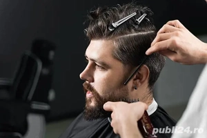 frizer la domicilul Galați  - imagine 2