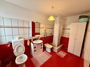 Casă / Vilă cu 4 camere Vanatori - imagine 7