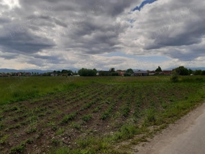 Vanzare teren intravilan 5000 mp construibil zona rezidenta - imagine 6