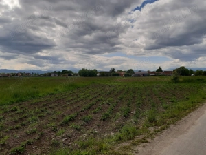 Vand teren intravilan 5000 mp zona rezidentiala construibil - imagine 5