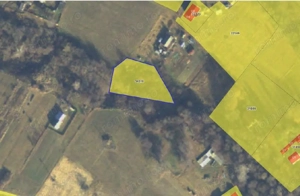 Teren Poiana Zvoristea cota parte 1/2, ID: R2850731 - imagine 5