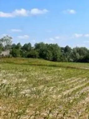 Teren Poiana Zvoristea cota parte 1/2, ID: R2850731