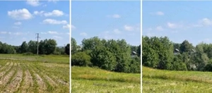 Teren Poiana Zvoristea cota parte 1/2, ID: R2850731 - imagine 11