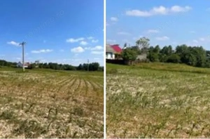 Teren Poiana Zvoristea cota parte 1/2, ID: R2850731 - imagine 8