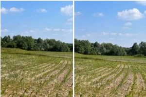 Teren Poiana Zvoristea cota parte 1/2, ID: R2850731 - imagine 7